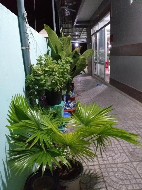 Nha Nghi Nguyen Anh Hotel Long Hai Luaran gambar