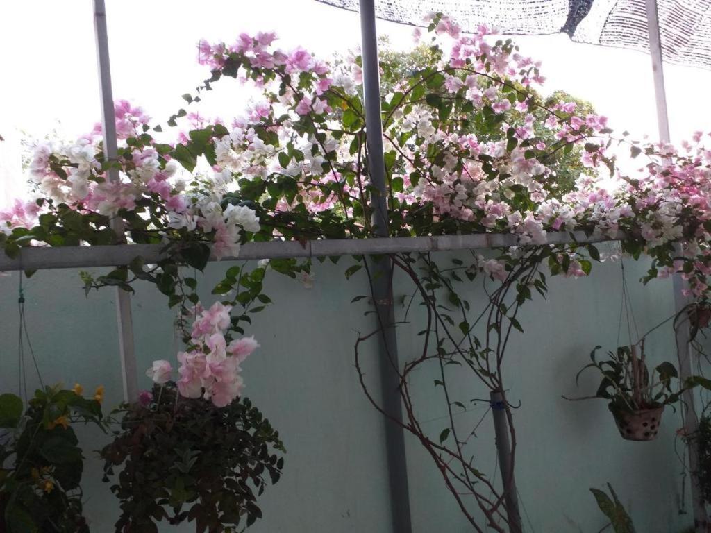 Nha Nghi Nguyen Anh Hotel Long Hai Luaran gambar
